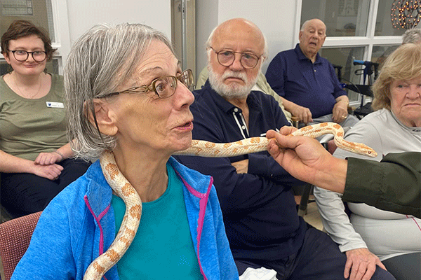 activité résidents